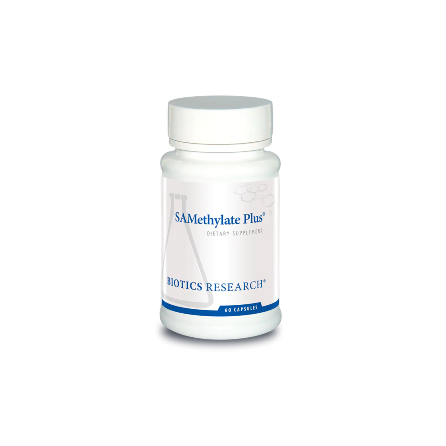 SAMethylate Plus